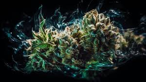 420 weed picture background images hd