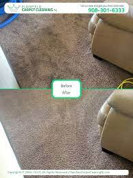 ucm carpet cleaning of plainfield the