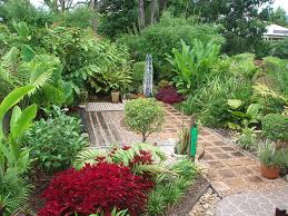 Palms For Brisbane A Secluded Garden