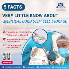 umbilical cord stem cell storage
