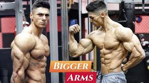 dumbbell arm workout for bigger biceps