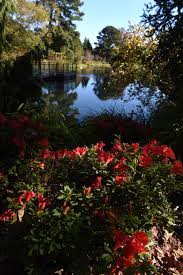Visit Lewis Ginter Botanical Garden In