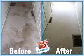 carpet cleaning services pet odor