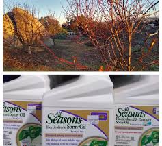 Liquid insecticide concentrates are the most popular formulation of pest control product with homeowners and professionals alike. Dormant Spray Deciduous Fruit Trees Greg Alder S Yard Posts Food Gardening In Southern California