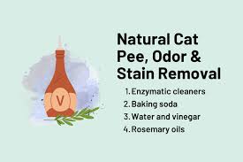 4 all natural cat urine odor and