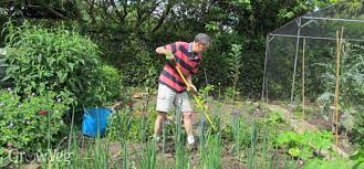 Easy Weeding For Vegetable Gardens