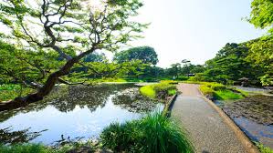 the best parks in tokyo time out tokyo
