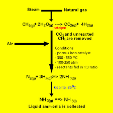 Cycles Nitrogen Fixation Haber Process