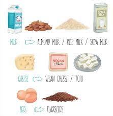 Quick And Easy Vegan Substitutes Chart Food Home
