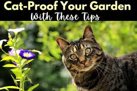cat proof your garden with these tips