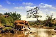 10 National Parks In Kenya That Are A Must Visit