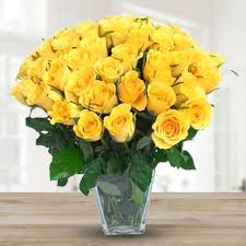 40 yellow roses flowerzila com