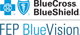 Florida Blue Vision Provider Search gambar png