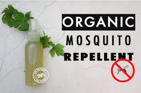how to make natural mosquito repellents