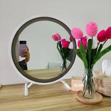 vanity mirror with led light