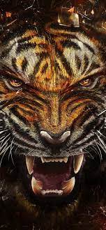 Tiger Growl 4K Wallpaper #24
