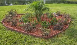 How To Landscape With Palm Trees In Houston