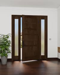 Stylish Door With Two Sidelites Door