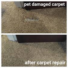 pet damaged carpet 310 736 2018