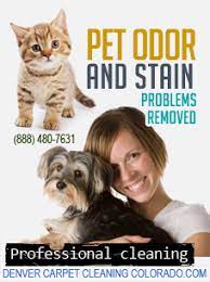 pet stains cleaning ucm cleaning services