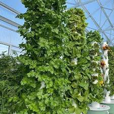 is tower garden technology y is