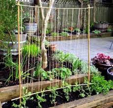 Bamboo is an exotic plant that can be seen in many gardens. 24 Spectacular Diy Bamboo Projects Uses In Garden Balcony Garden Web