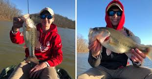 When Do Bass Spawn See The Nationwide Bass Spawning Expectancy