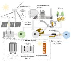 biological hydrogen methanation