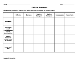 Cell Transport Chart By Science Attic Teachers Pay Teachers