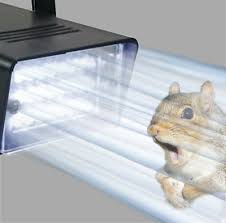 If you've got squirrels in the house, whether they're in the attic, wall voids, crawl spaces, or anywhere else, and you want to know how to get rid of them in this pest strategies guide you'll learn how to: Attic Squirrel Repellent Flashing Strobe Light A Squirrels Worst Nightmare Ebay