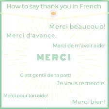 how to say thank you in french sofi64