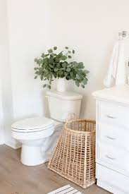 Upflush Toilets For Basements What You