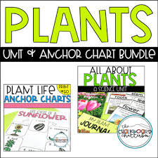 Plants Unit And Anchor Charts Bundle