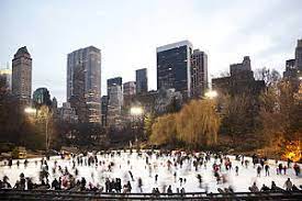 30 best things to do this winter in nyc