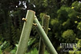 build a bamboo trellis for your garden