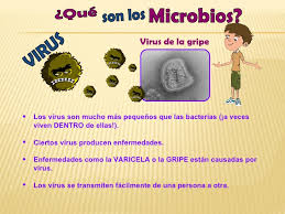 Resultado de imagen de que son los microbios