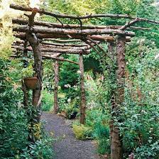 Rustic Arbor Garden Trellis