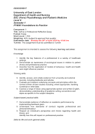 Pt4001 Reflective Essay Final Foundations To Practice