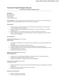 profile resume examples professional sample resume profile section examples  sample skills what put resume profile section