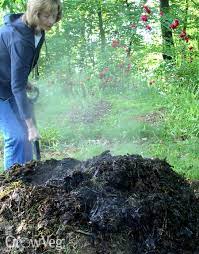 using manure in the vegetable garden