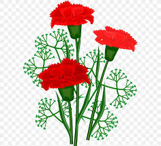 See more ideas about cross stitch flowers, cross stitch, stitch. Cross Stitch Cross Stitch Flowers Carnation Png 584x744px Crossstitch Annual Plant Carnation Crewel Embroidery Cross Stitch