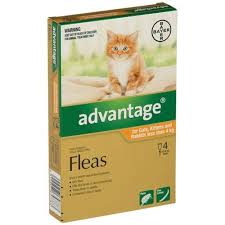 advane for cats and kittens my vet