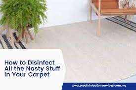 how to disinfect all the nasty stuff in