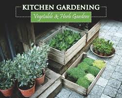 How To Start A Kitchen Garden