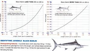 Marlin Weight To Length Chart Fishing Fishwrecked Com