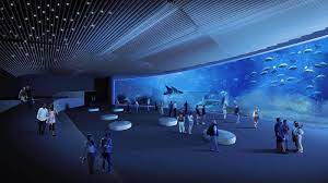 poema del mar the incredible aquarium