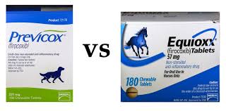 Previcox Vs Equioxx For Horses Express Veterinary Pharmacy