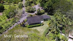 molii gardens at kualoa you