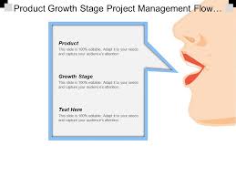 Product Growth Stage Project Management Flow Chart Diagram