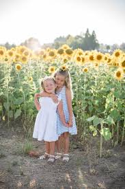 Sunflower Fields In Oregon